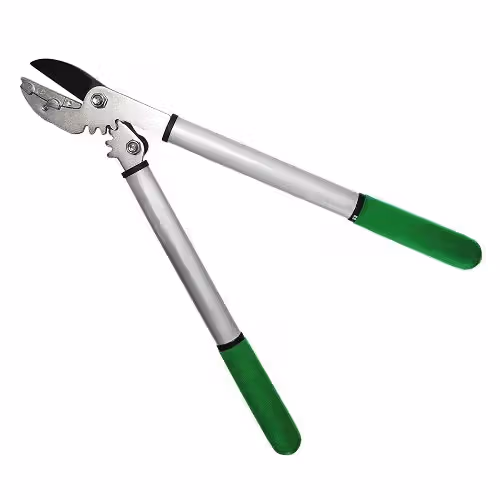 Гілкоріз Gruntek Grizzly 470 мм 295203470 фото