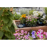 Датчик вологості ґрунту GARDENA 01867-20.000.00 фото