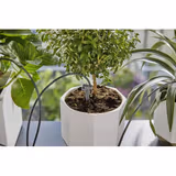 Набір Gardena Holiday Watering для поливу у вихідні дні 13366-20.000.00 фото