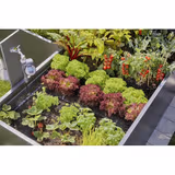 Комплект для поливу Gardena Micro-Drip-System Raised Bed Set для високих грядок на 35 рослин 13455-20.000.00 фото