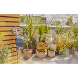 Таймер подачі води Gardena Easy Plus 01897-20.000.00 фото