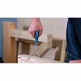 Набір викруток BOSCH Torx 6 шт 1600A01V09 фото