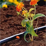 Крапельниця кінцева Gardena 4 л / год 01341-29.000.00 фото