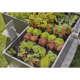 Комплект для поливу Gardena Micro-Drip-System Raised Bed Set для високих грядок на 35 рослин 13455-20.000.00 фото