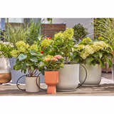 Комплект для поливу Gardena Micro-Drip-System Balcony Set на 15 рослин 13401-20.000.00 фото