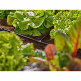 З'єднувач Т-подібний Gardena Micro-Drip-System для шлангів 4,6 мм 10 шт. 13211-20.000.00 фото