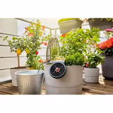 Комплект для поливу балконних рослин Gardena AquaBloom 13300-20.000.00 фото