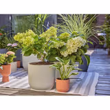 Комплект для поливу Gardena Micro-Drip-System Terrace Set на 30 рослин 13400-20.000.00 фото